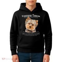 Yorkshire Terrier Yorkie Owner Lover Human Trainer Kids Hoodie thumb 4
