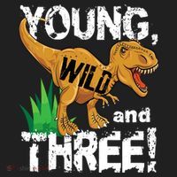 Young Wild And Three (3) Dinosaur Trex Birthday Boy Tumbler thumb 3