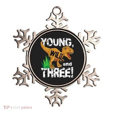 Young Wild And Three (3) Dinosaur Trex Birthday Boy Ornament