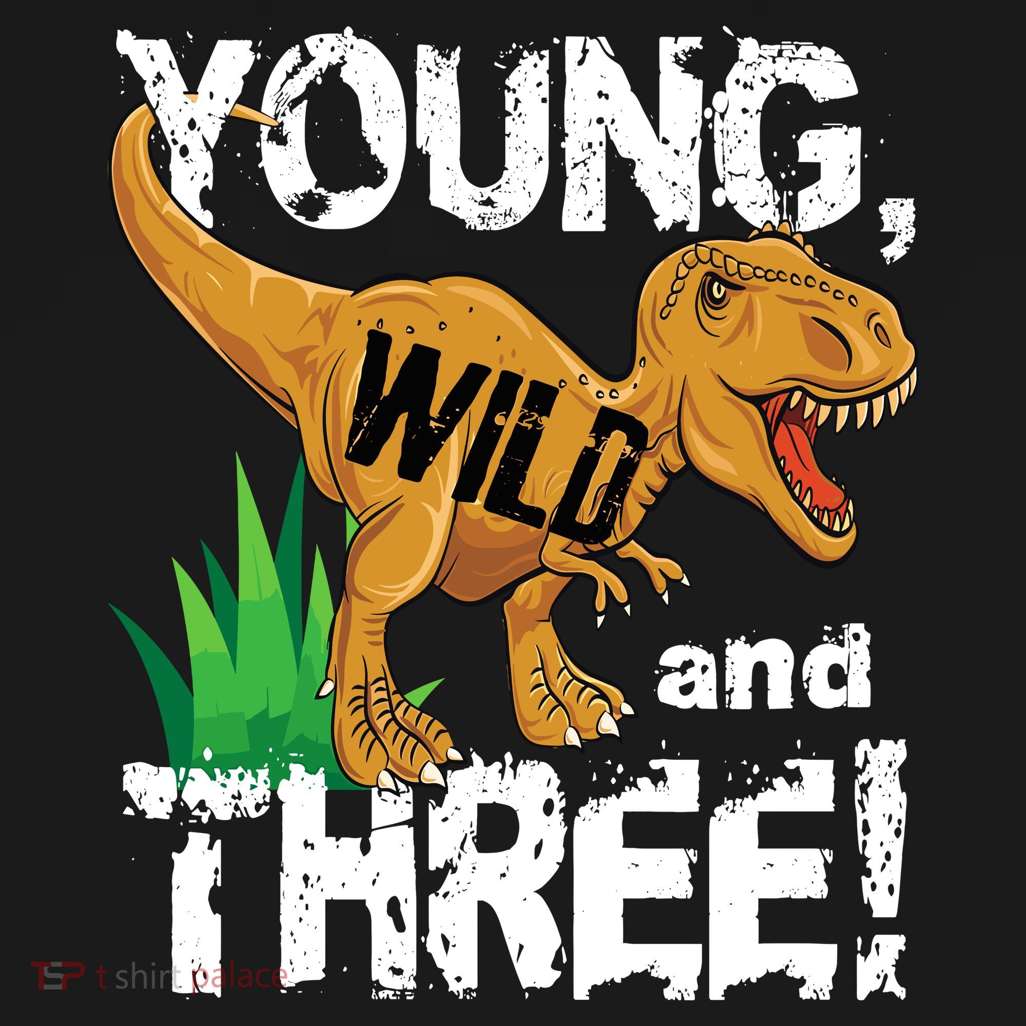 Young Wild And Three (3) Dinosaur Trex Birthday Boy Ornament