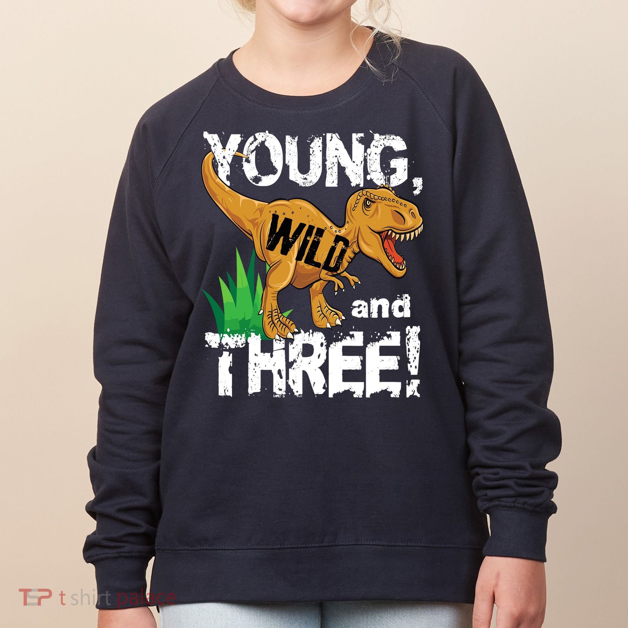 Young Wild And Three (3) Dinosaur Trex Birthday Boy Women's Sweatshirt