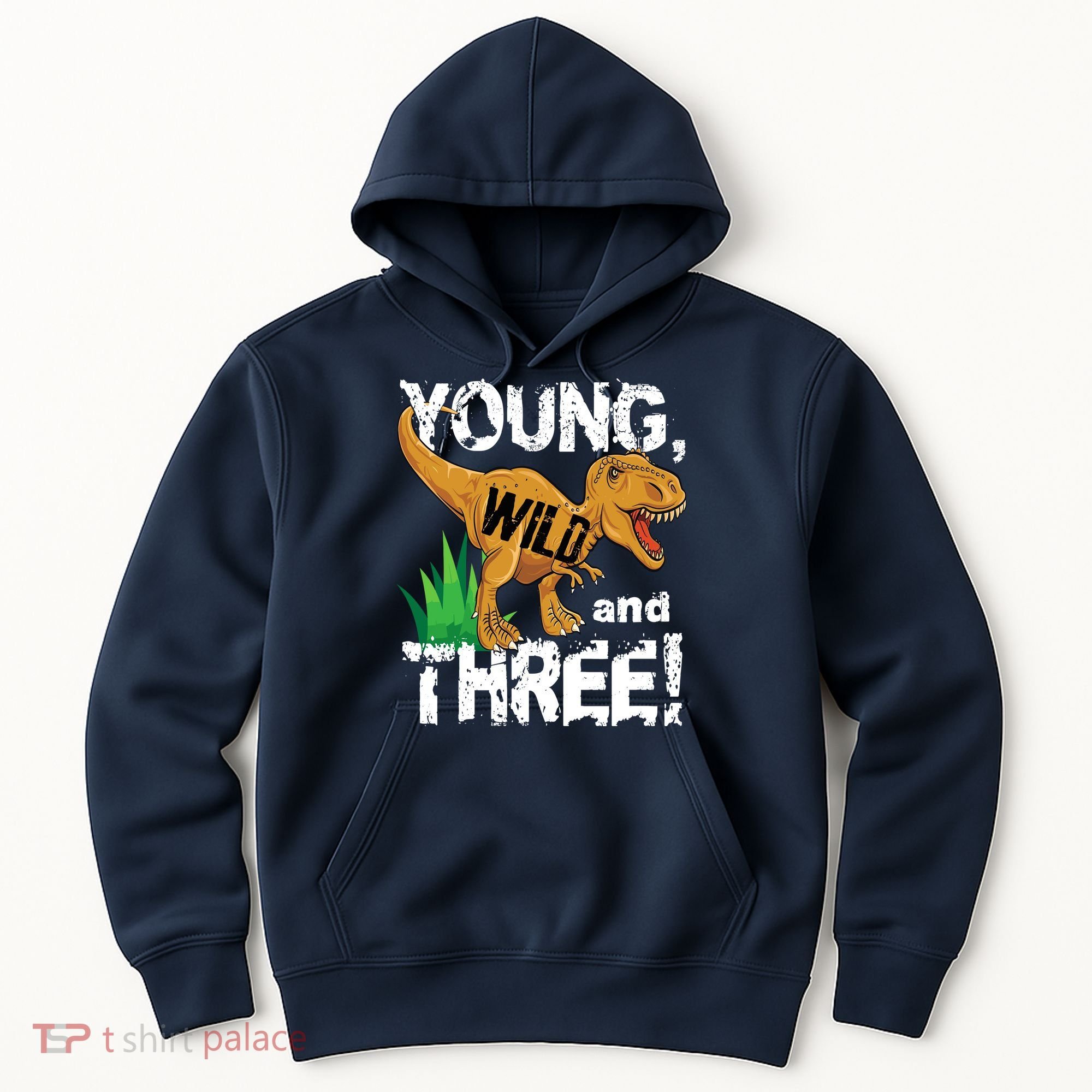 Young Wild And Three (3) Dinosaur Trex Birthday Boy Hoodie