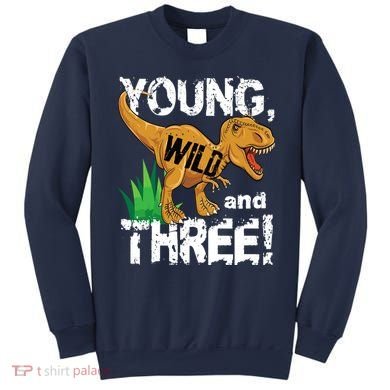 Young Wild And Three (3) Dinosaur Trex Birthday Boy Sweatshirt