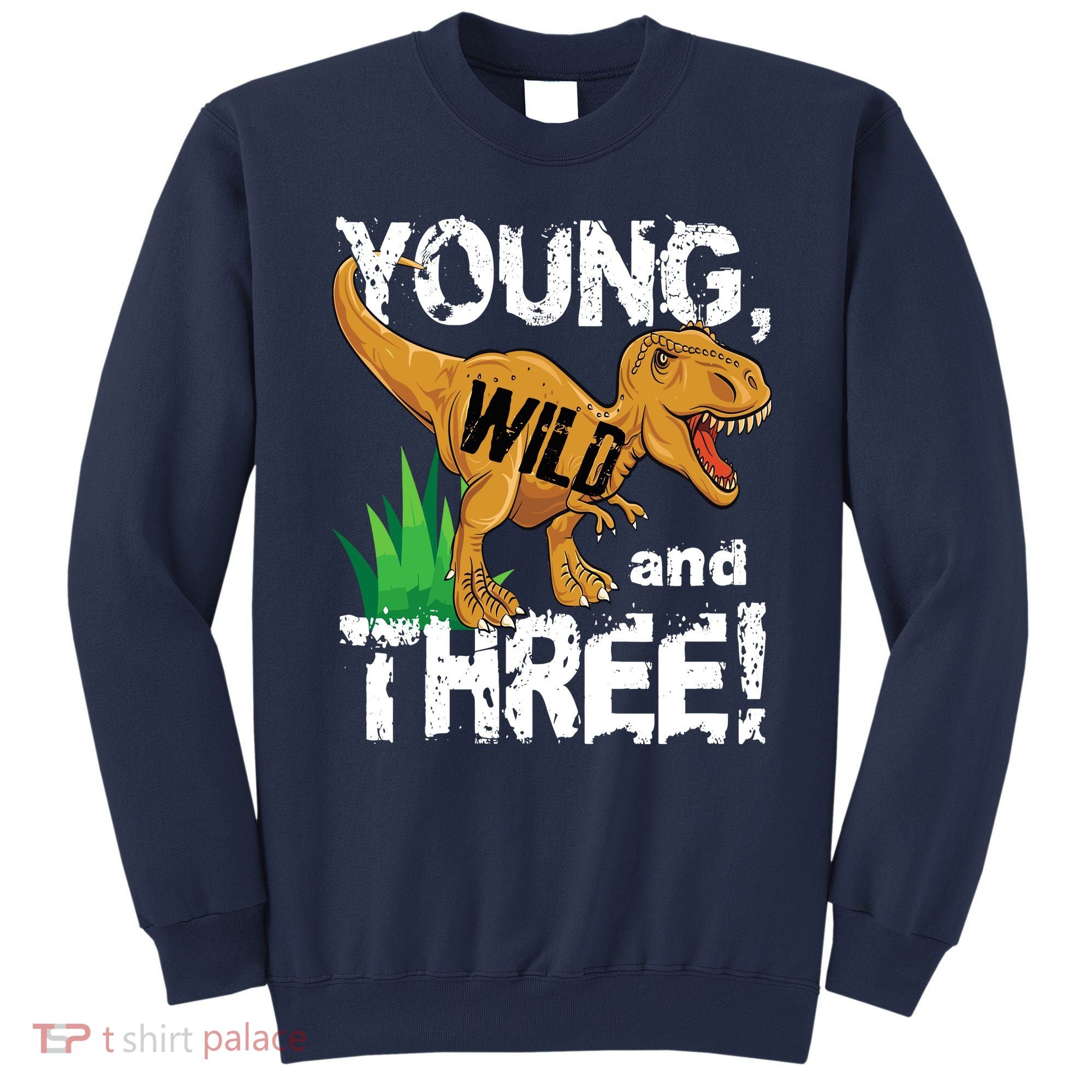 Young Wild And Three (3) Dinosaur Trex Birthday Boy Sweatshirt