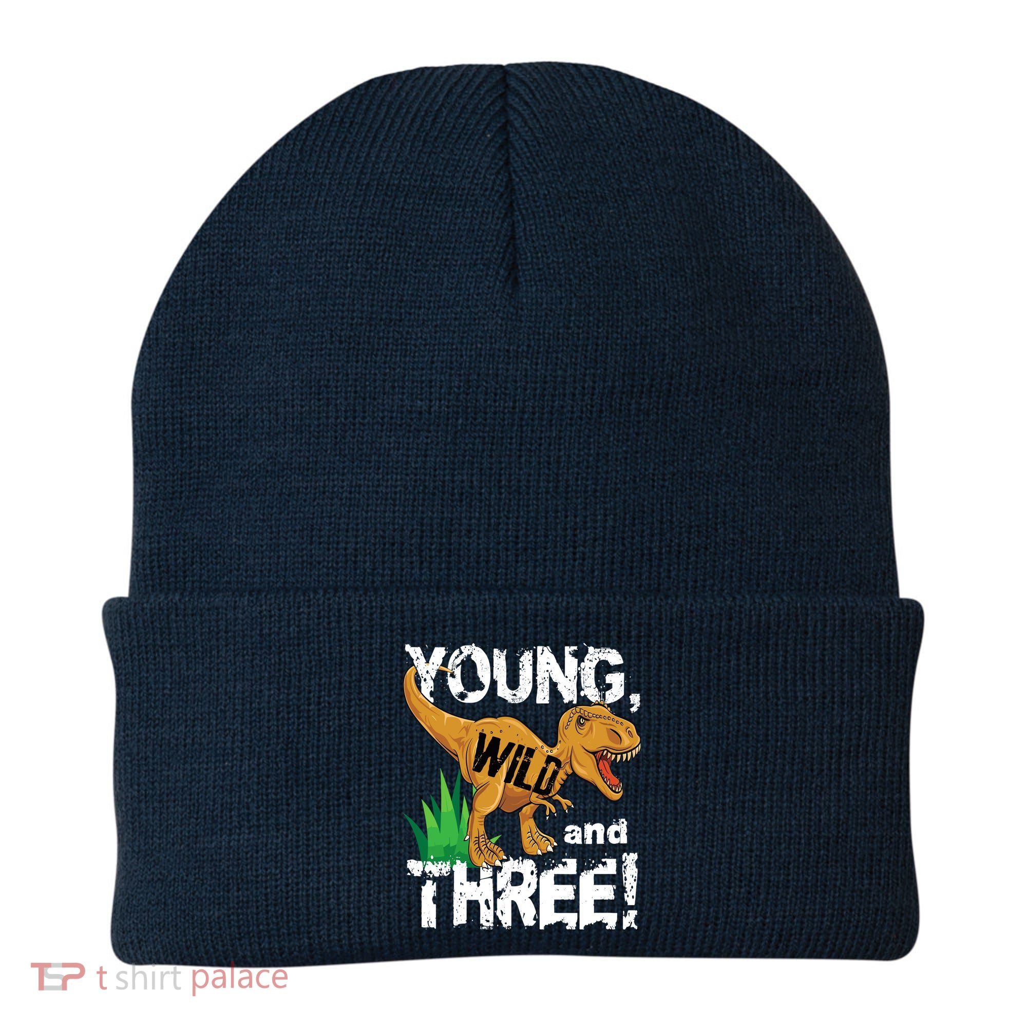 Young Wild And Three (3) Dinosaur Trex Birthday Boy Beanie
