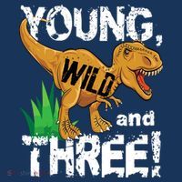 Young Wild And Three (3) Dinosaur Trex Birthday Boy Women's Hoodie thumb 2