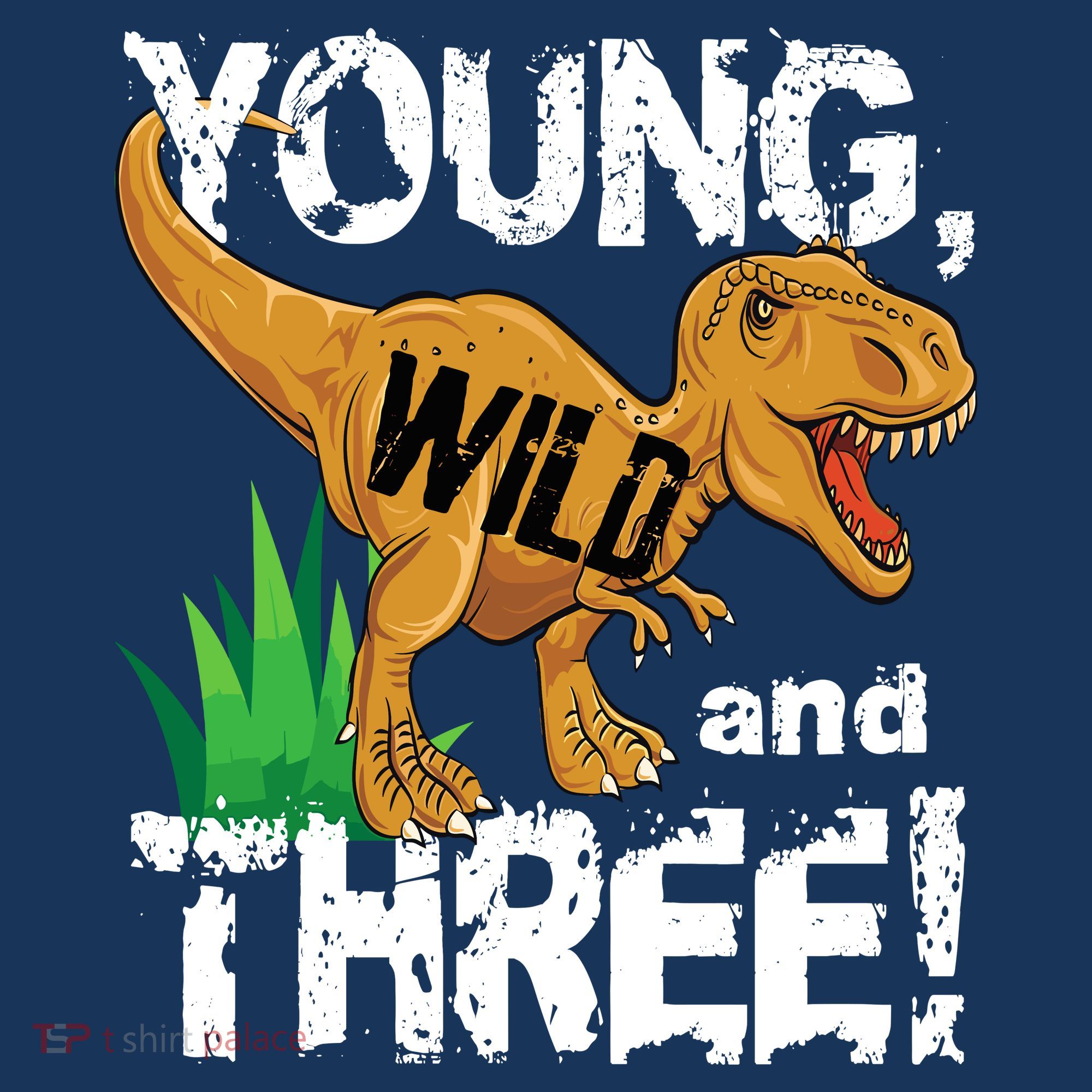 Young Wild And Three (3) Dinosaur Trex Birthday Boy Women's Tank Top
