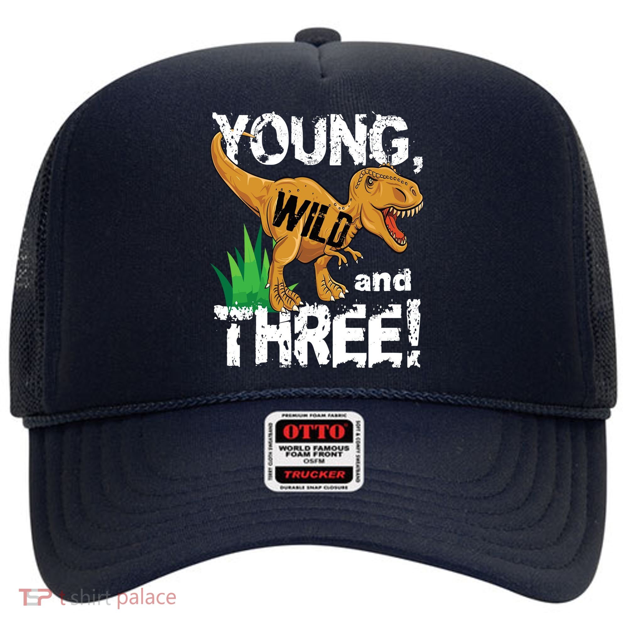 Young Wild And Three (3) Dinosaur Trex Birthday Boy Hat