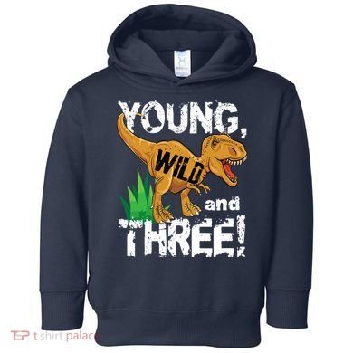 Young Wild And Three (3) Dinosaur Trex Birthday Boy Toddler Hoodie