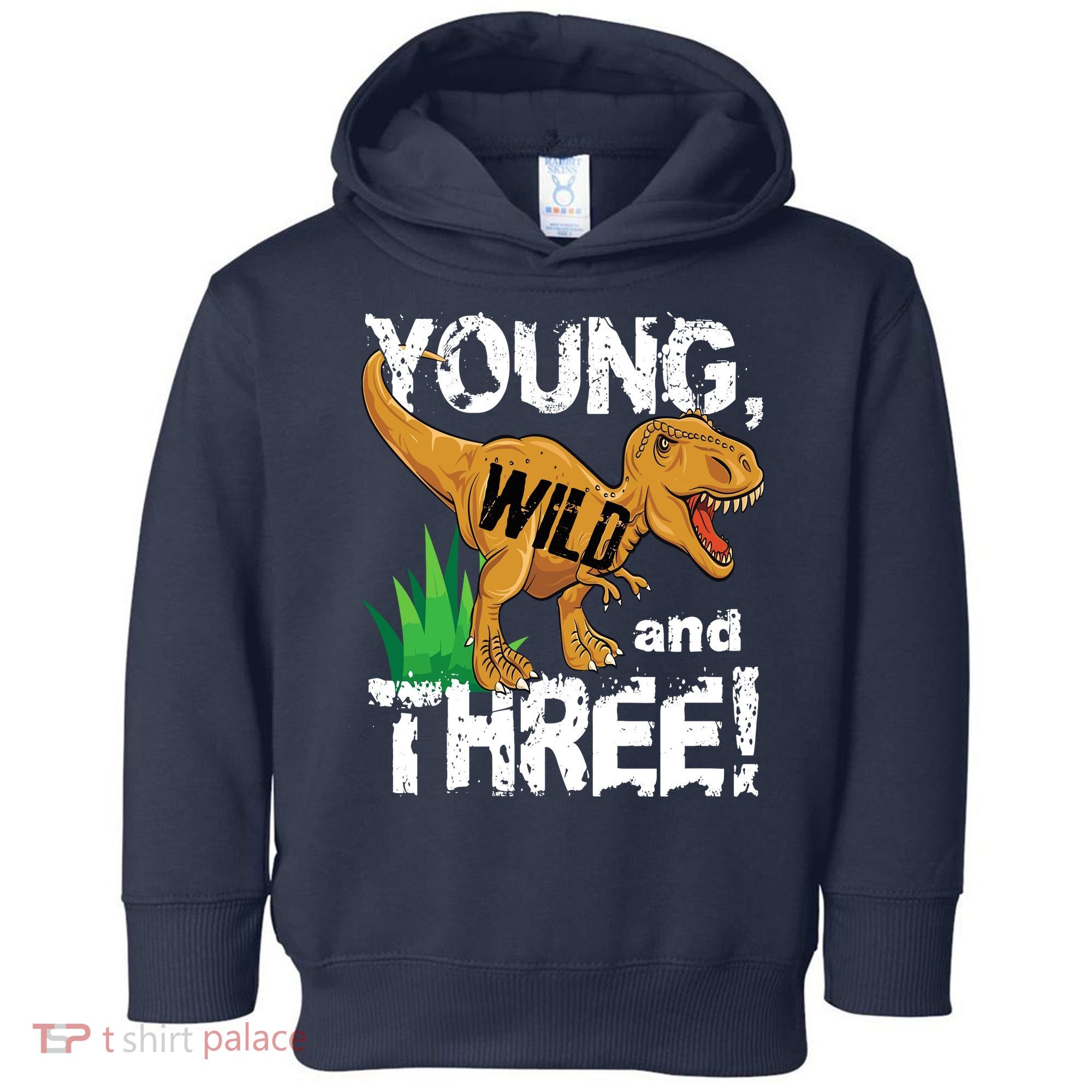 Young Wild And Three (3) Dinosaur Trex Birthday Boy Toddler Hoodie