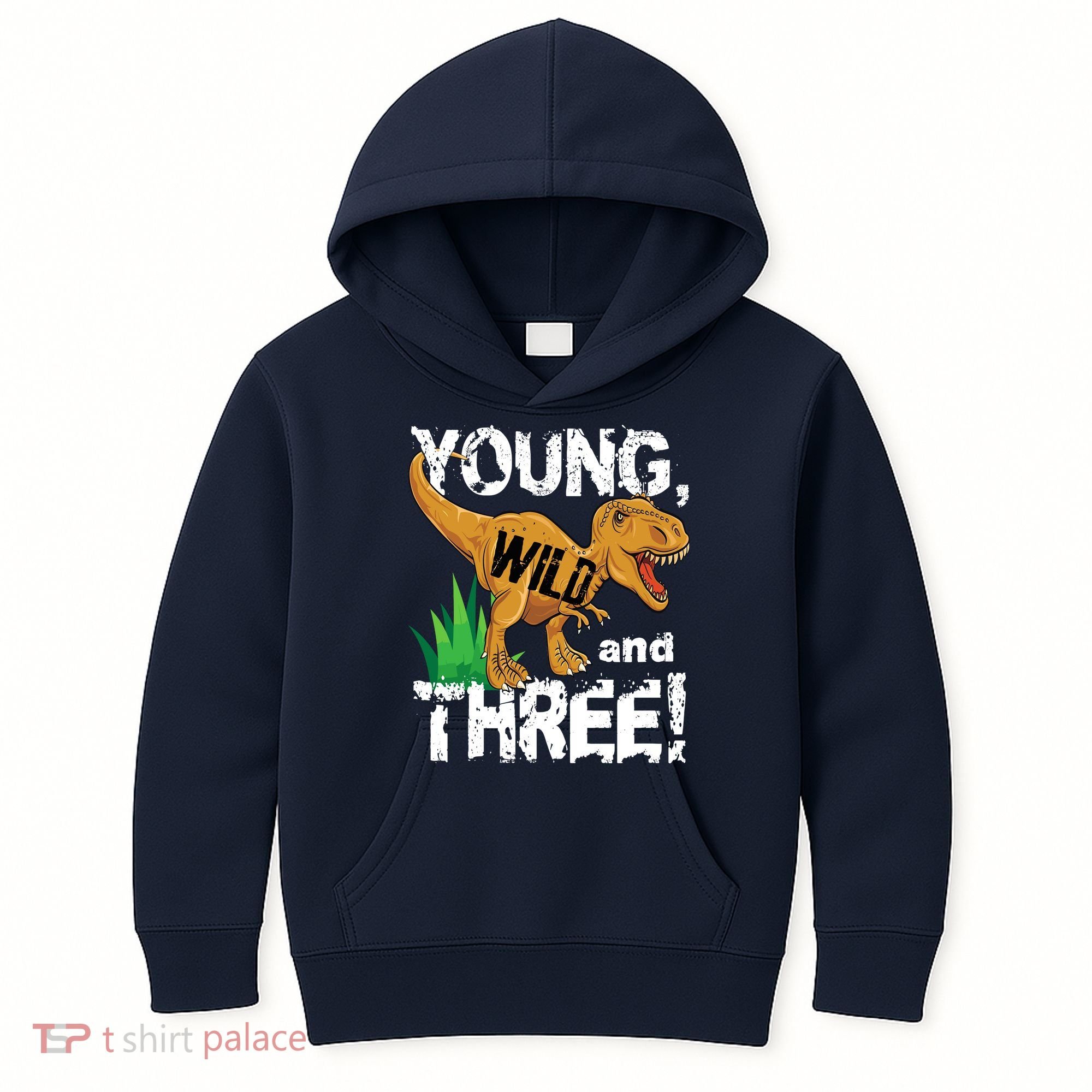Young Wild And Three (3) Dinosaur Trex Birthday Boy Kids Hoodie