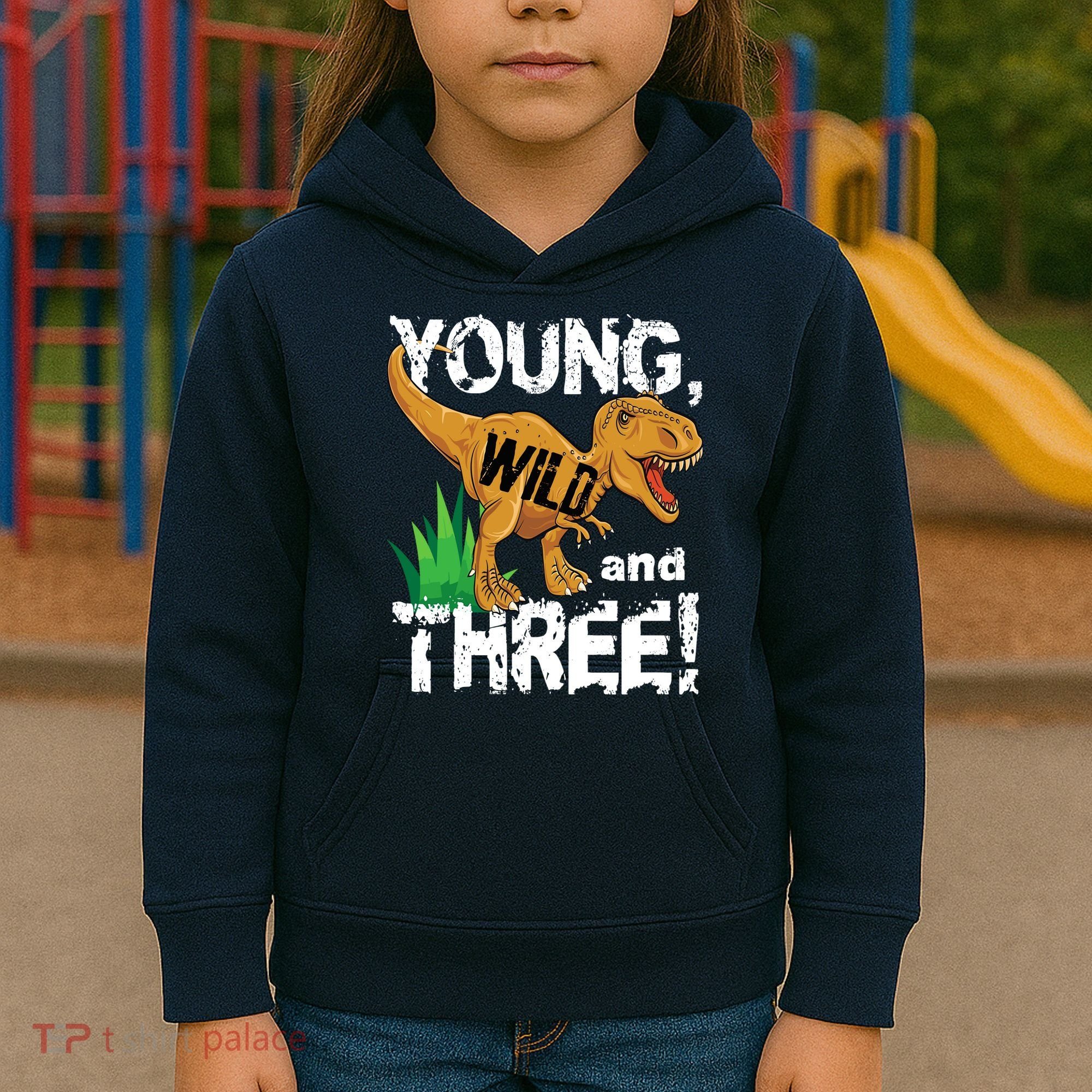 Young Wild And Three (3) Dinosaur Trex Birthday Boy Kids Hoodie