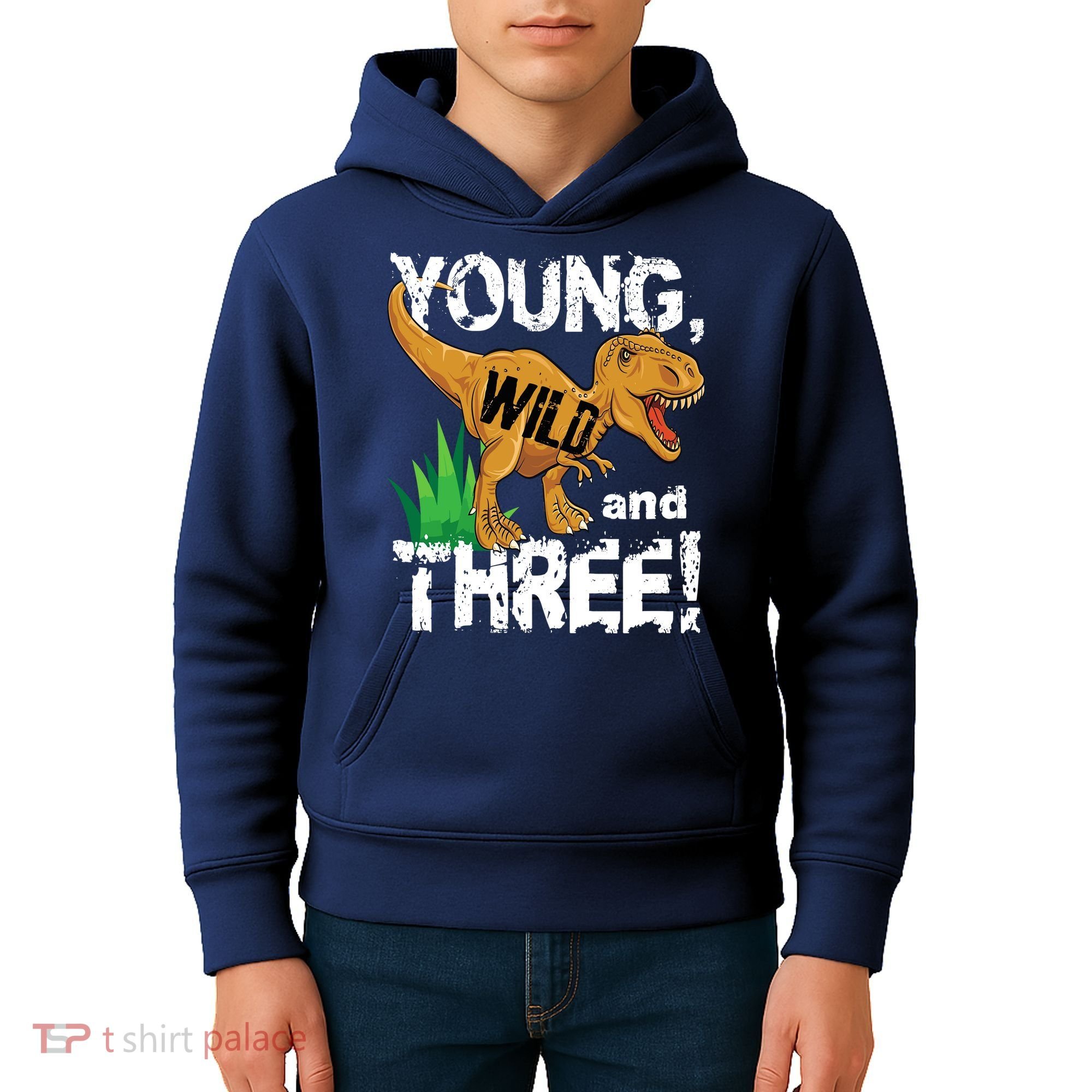Young Wild And Three (3) Dinosaur Trex Birthday Boy Kids Hoodie