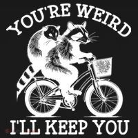 You’re Weird I'll Keep You Funny Meme Racoon Bicycle Retro Toddler Hoodie thumb 2