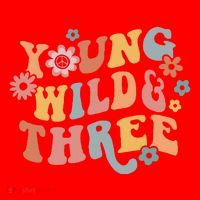 Young Wild & Three Retro Groovy 3rd Birthday Santa Hat thumb 1
