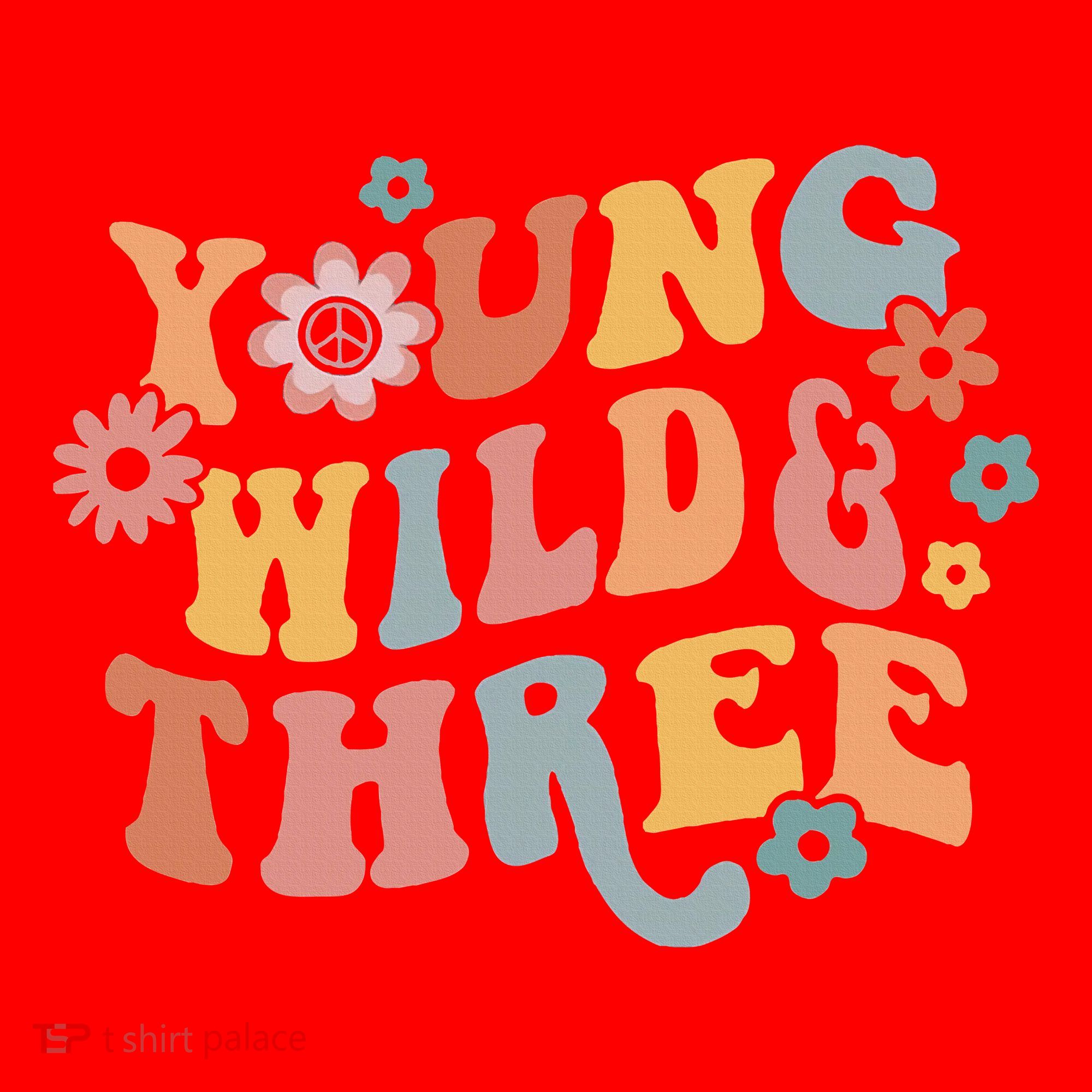 Young Wild & Three Retro Groovy 3rd Birthday Santa Hat