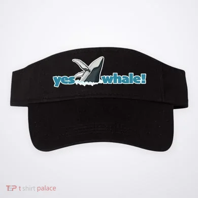 Visor