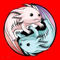 Ying Yang Axolotls Santa Hat thumb 1