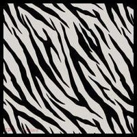 Zebra Animal Print Coaster thumb 2