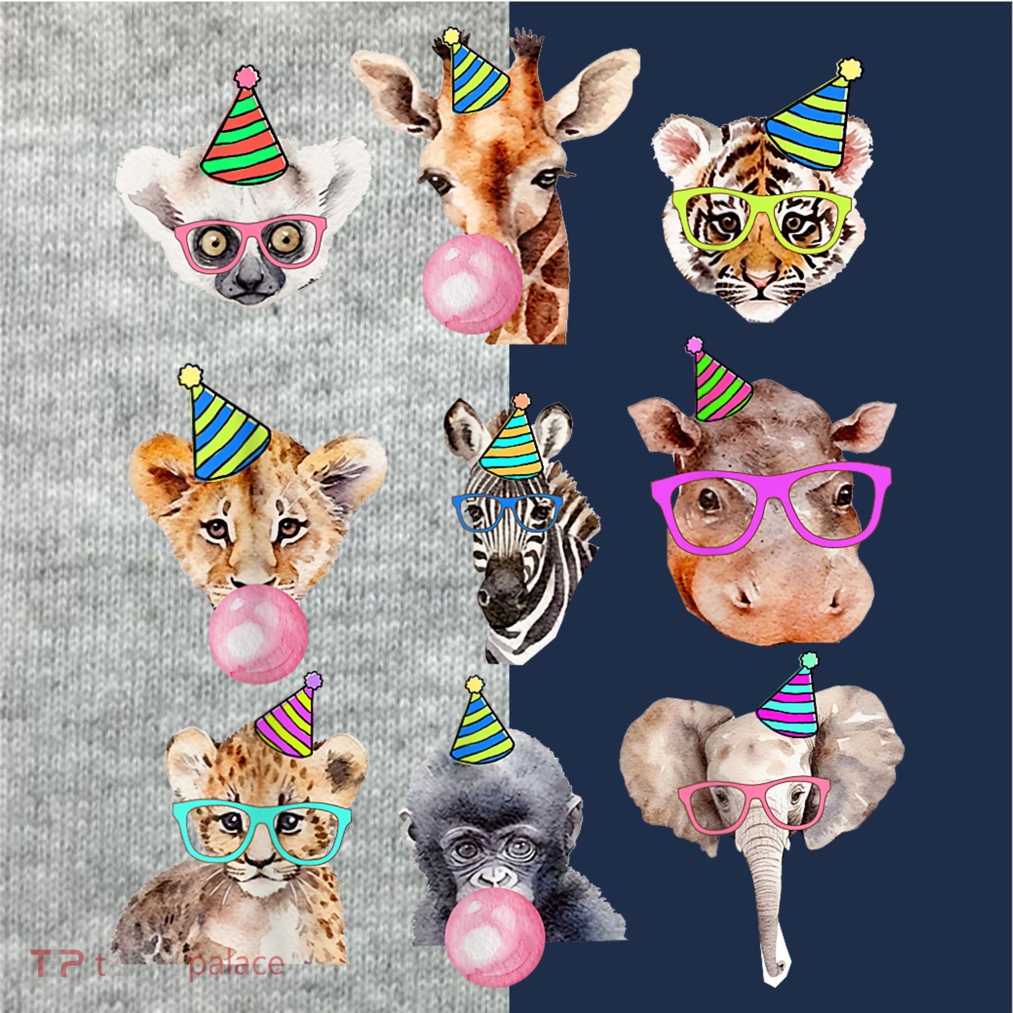 Zoo Animals Wildlife Birthday Party Zoo Day Animals Kids Colorblock Raglan Jersey