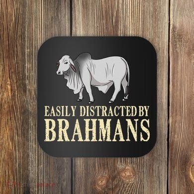 Zebu Cow Brahman Bull Cattle Mini Coaster