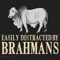Zebu Cow Brahman Bull Cattle Mini Golf Towel thumb 3