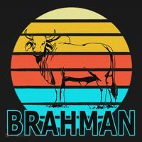 Zebu Cattle Brahma Bull Hump Dewlap Cow Indian Aurochs Baby Bodysuit thumb 2