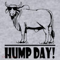 Zebu Cattle Brahma Bulls Funny Hump Day Meme Bovine Meat Women's Sweatshirt thumb 2