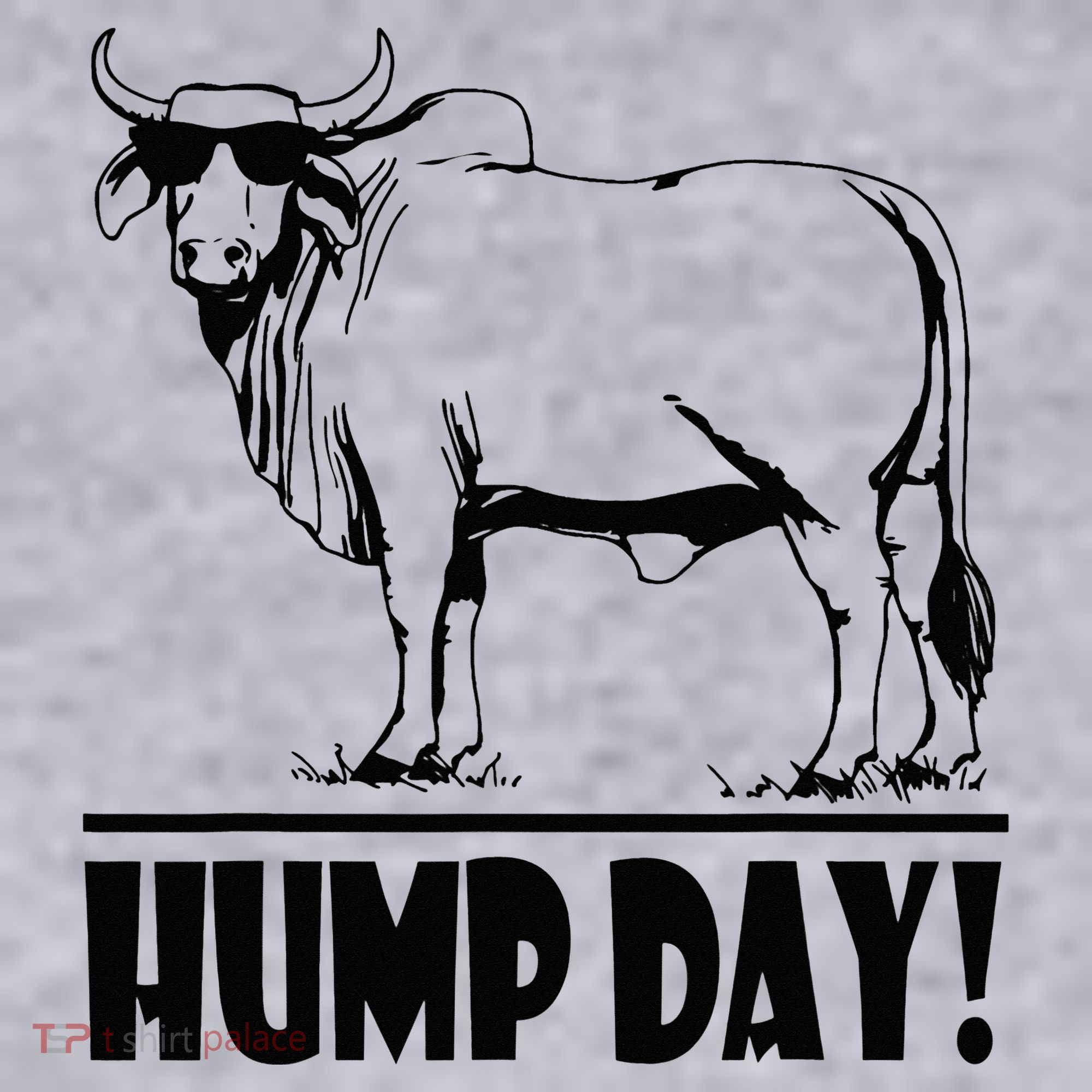 Zebu Cattle Brahma Bulls Funny Hump Day Meme Bovine Meat Women's Sweatshirt