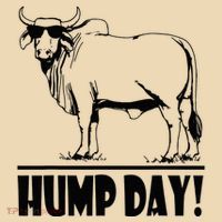 Zebu Cattle Brahma Bulls Funny Hump Day Meme Bovine Meat Tote Bag thumb 4