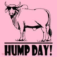 Zebu Cattle Brahma Bulls Funny Hump Day Meme Bovine Meat Coaster thumb 2