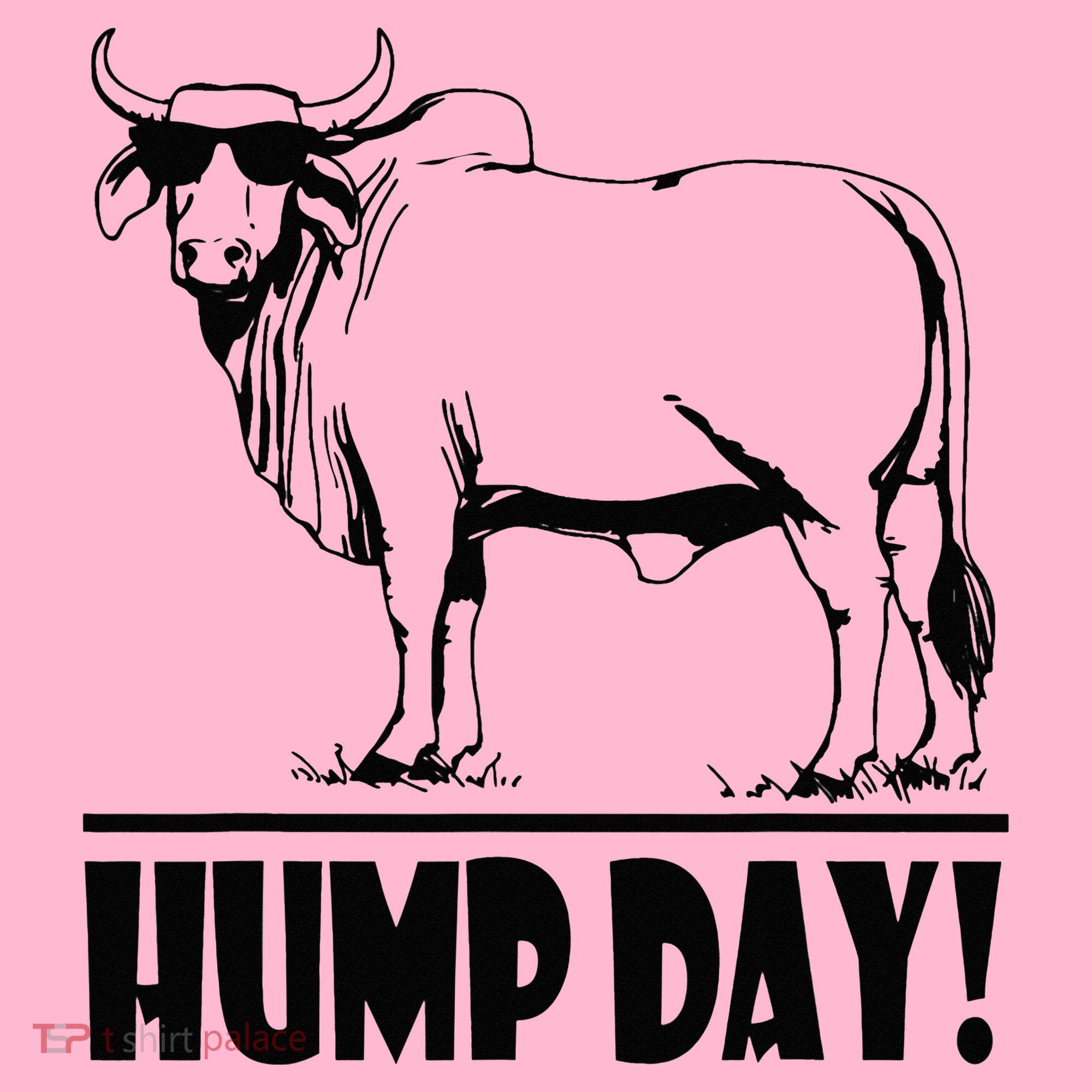 Zebu Cattle Brahma Bulls Funny Hump Day Meme Bovine Meat Coaster