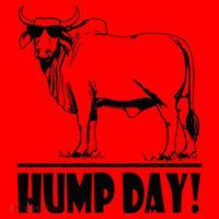 Zebu Cattle Brahma Bulls Funny Hump Day Meme Bovine Meat Santa Hat thumb 1