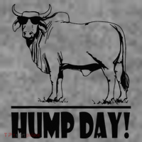 Zebu Cattle Brahma Bulls Funny Hump Day Meme Bovine Meat Toddler Hoodie thumb 2