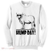 Zebu Cattle Brahma Bulls Funny Hump Day Meme Bovine Meat Sweatshirt thumb 0