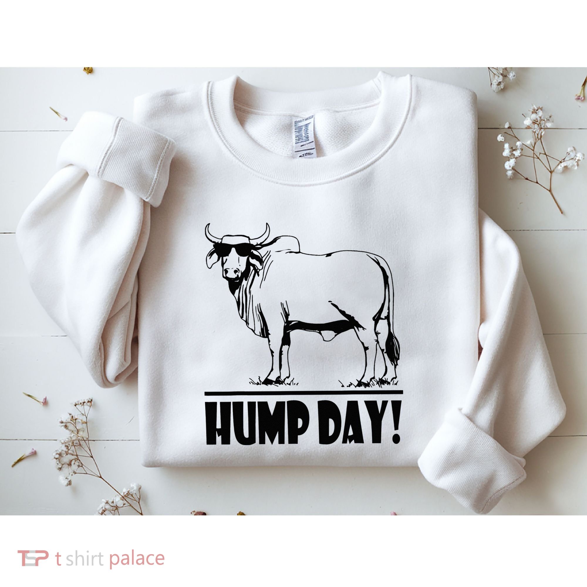 Zebu Cattle Brahma Bulls Funny Hump Day Meme Bovine Meat Sweatshirt