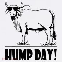 Zebu Cattle Brahma Bulls Funny Hump Day Meme Bovine Meat Women's Long Sleeve Shirt thumb 2