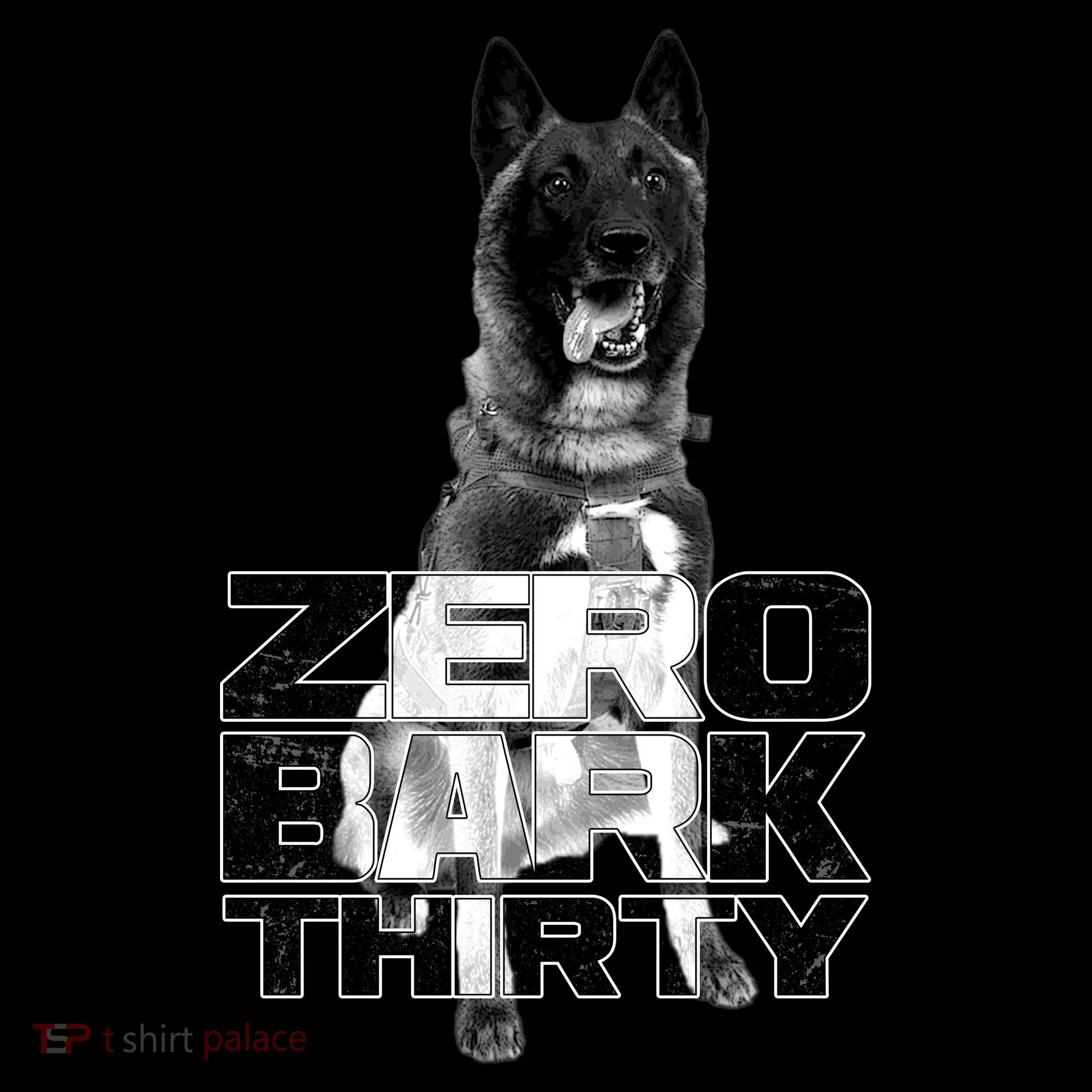Zero Bark Thirty Conan the Hero Dog Bucket Hat