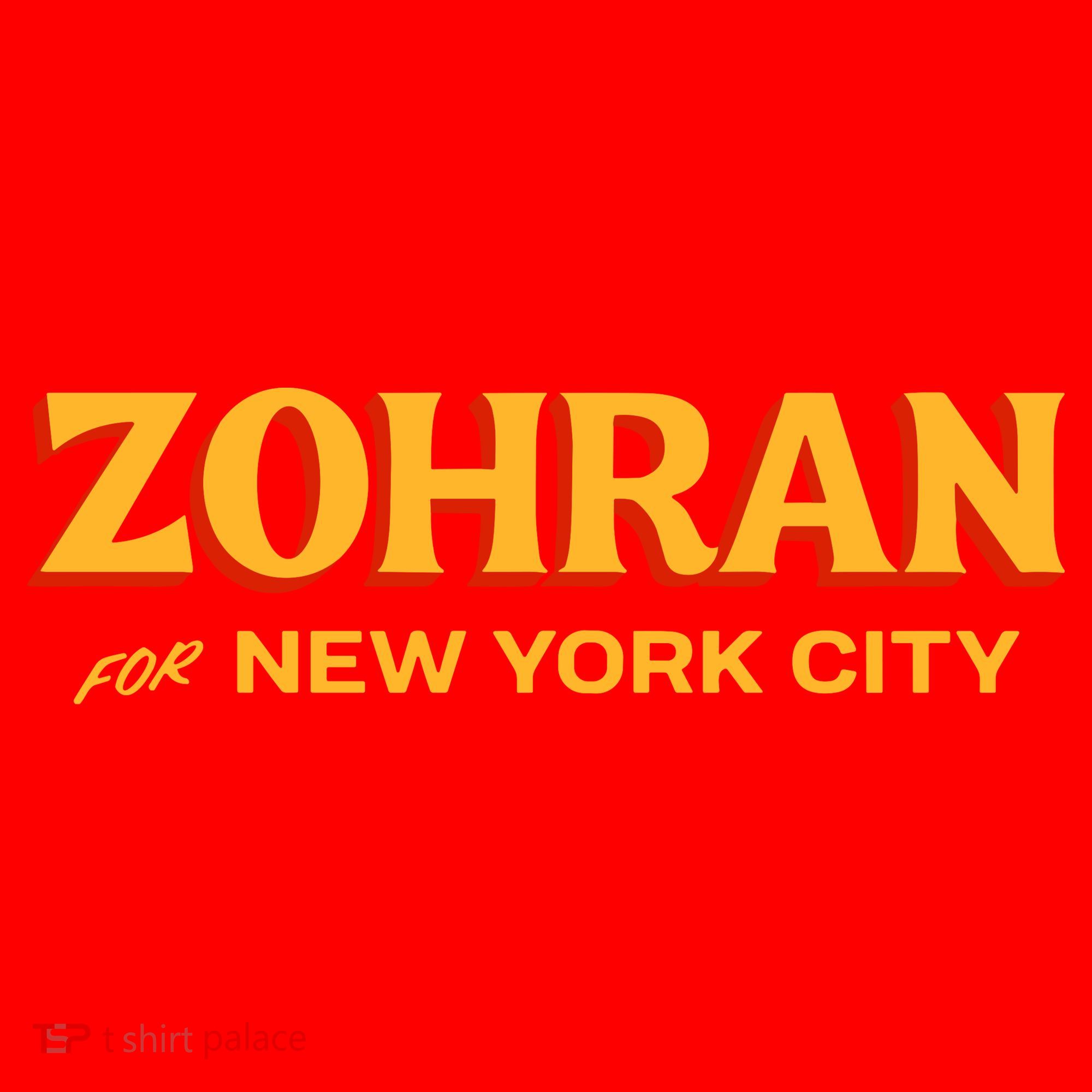 Zohran For New York City Santa Hat