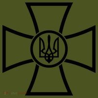Zelensky Green Cross Ukraine I Dont Need A Ride I Need Ammunition Front&Back Kids Hoodie thumb 2