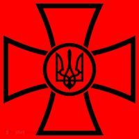 Zelensky Green Cross Ukraine I Dont Need A Ride I Need Ammunition Front&Back Santa Hat thumb 2