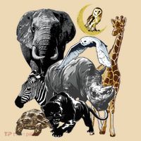 Zookeeper Jungle Animals Theme Safari Zoo Birthday Themed Tote Bag thumb 4