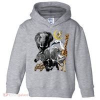 Zookeeper Jungle Animals Theme Safari Zoo Birthday Themed Toddler Hoodie thumb 0