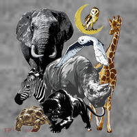 Zookeeper Jungle Animals Theme Safari Zoo Birthday Themed Toddler Hoodie thumb 2