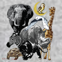 Zookeeper Jungle Animals Theme Safari Zoo Birthday Themed Tall T-Shirt thumb 4