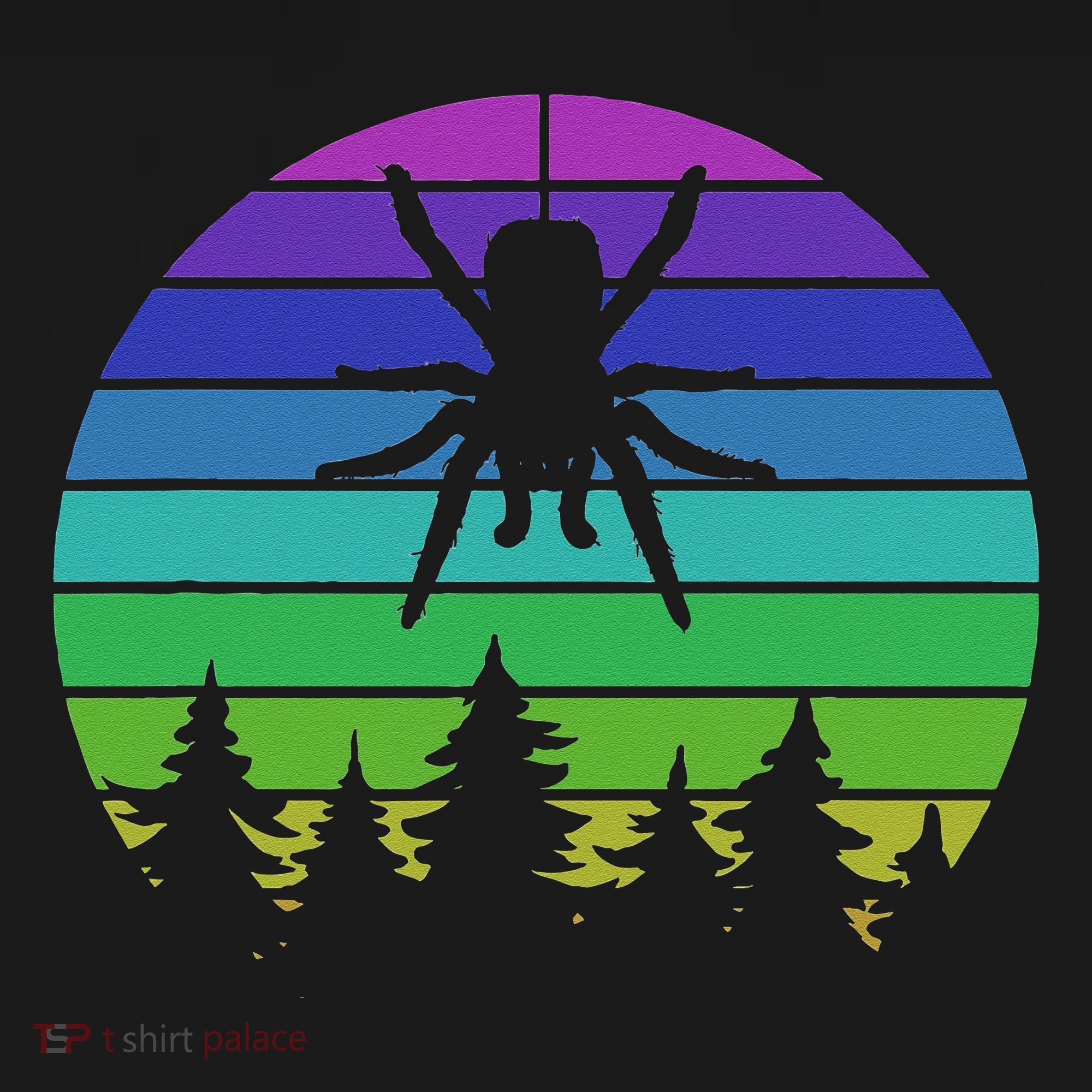 Zoo Keeper Animal Arachnid Cobweb Tarantula Retro Spider Long Sleeve Shirt