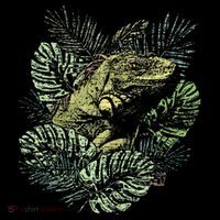 Zoo Keeper Lizard Lover Gift Iguana Coaster thumb 2