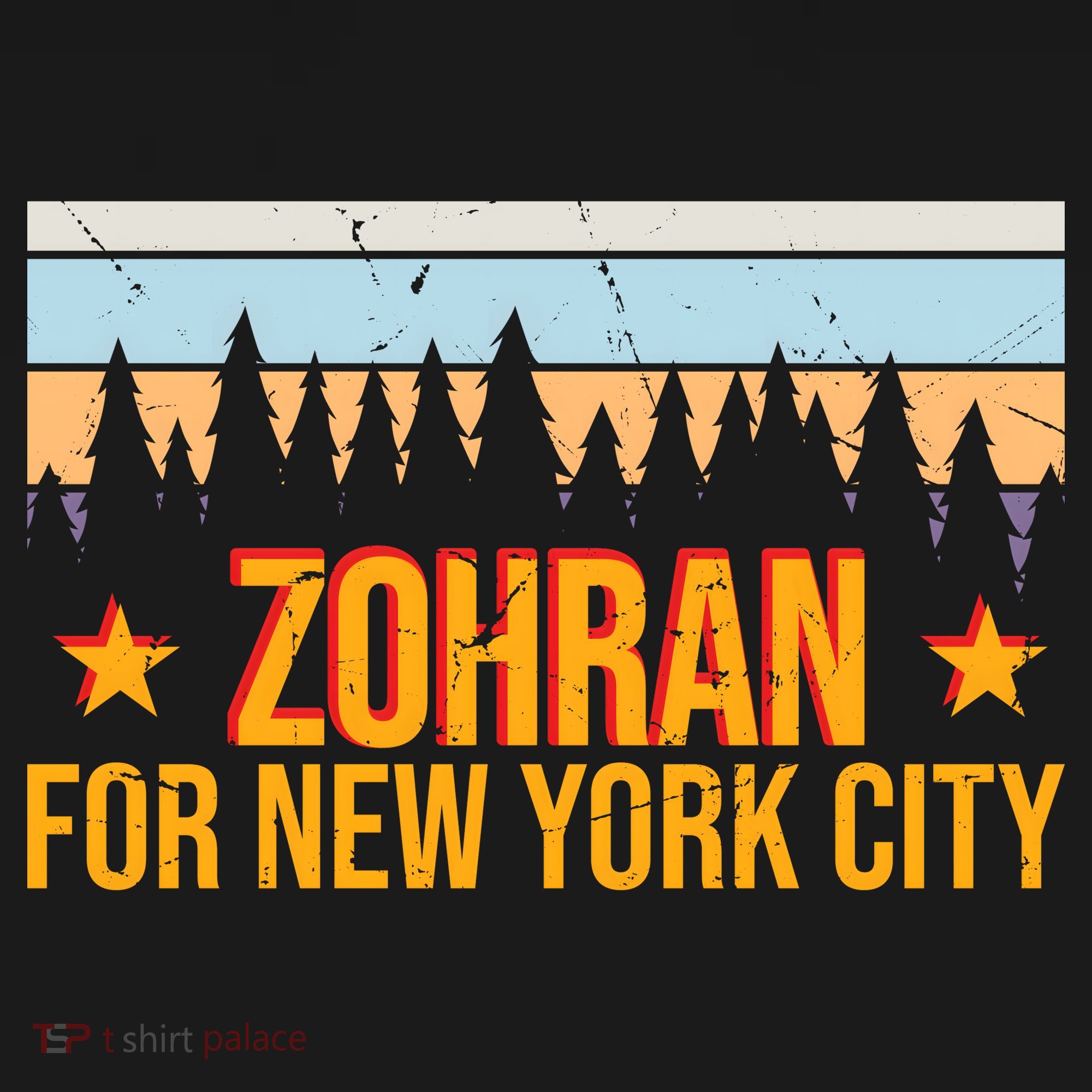 Zohran Mamdani For New York City Ornament
