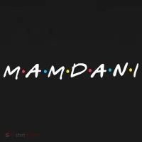 Zohran Mamdani Logo Ornament thumb 1