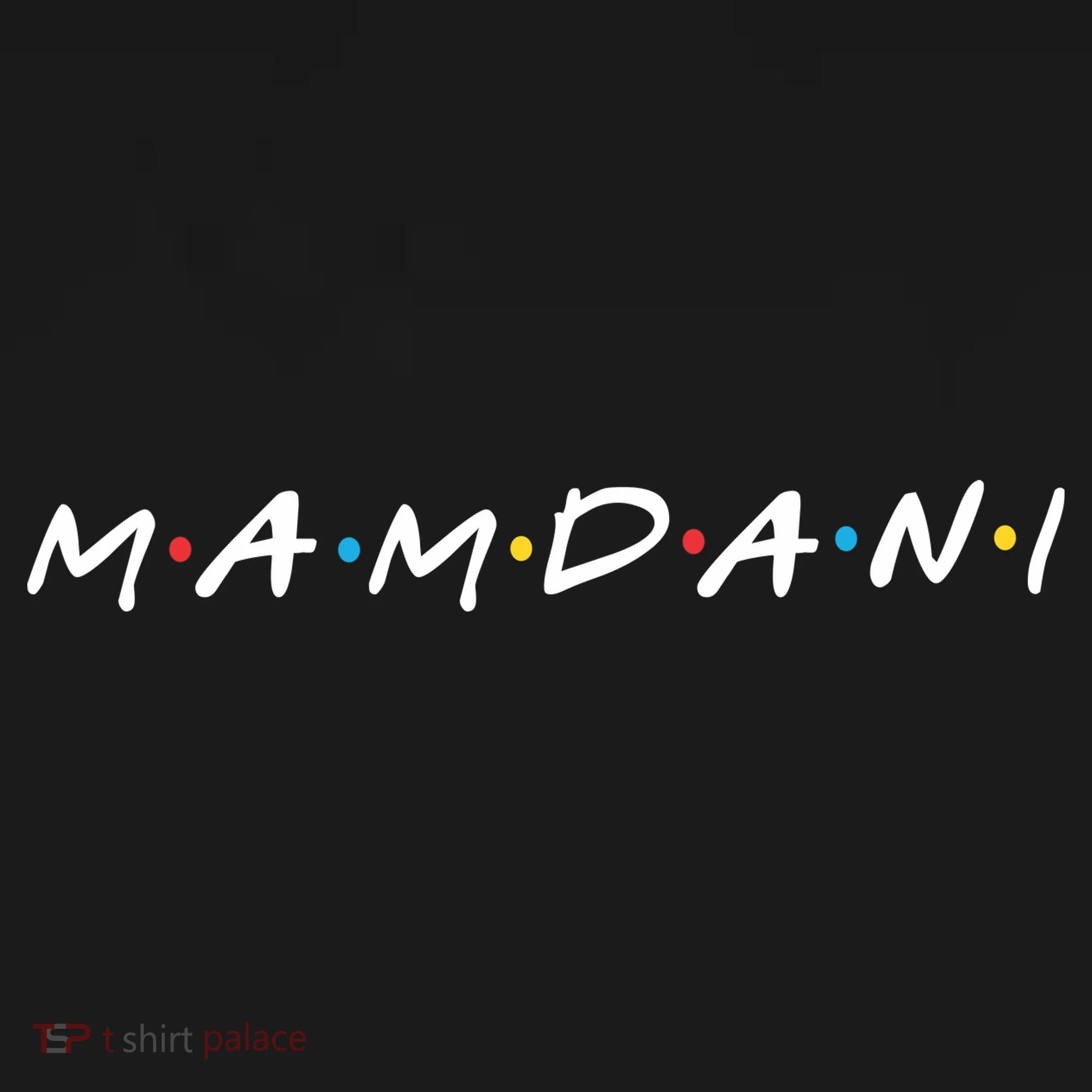 Zohran Mamdani Logo Ornament